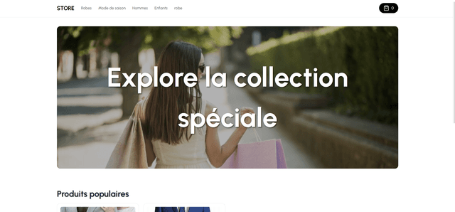 Multi E-commerce Store